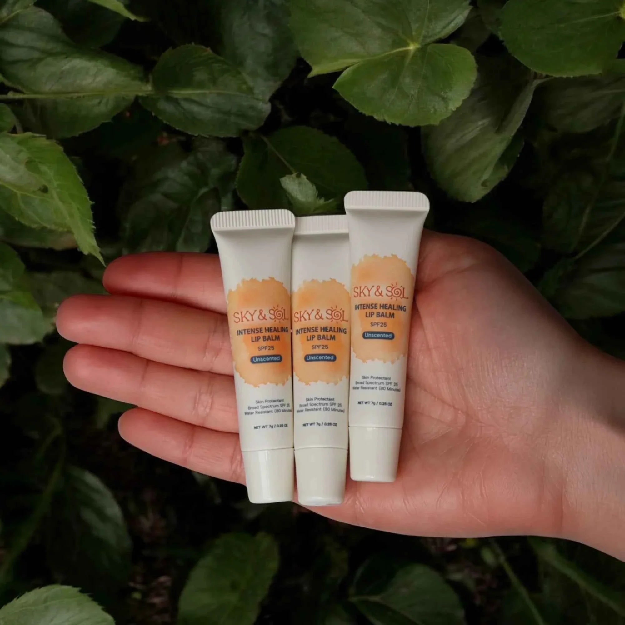 Sky and Sol Lip Jelly SPF 25 (Pack of 3) (INT)